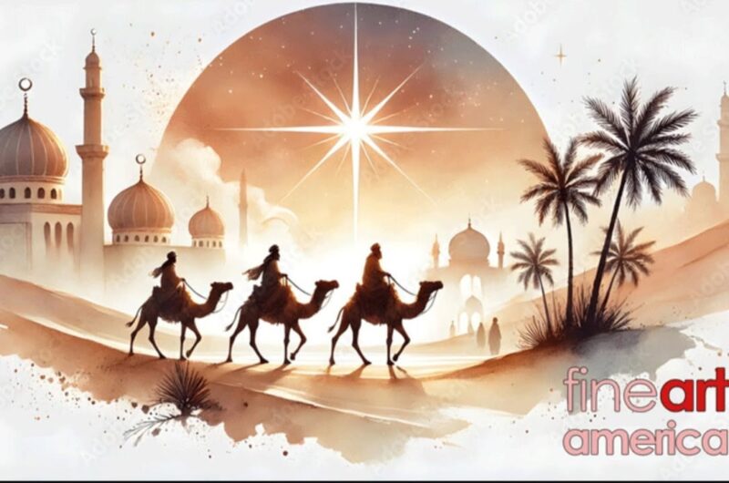 fb-356526171666570_912284890894039