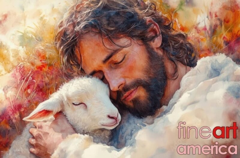 fb-356526171666570_895373085918553