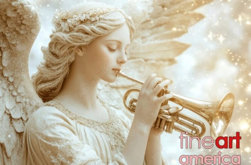 fb-356526171666570_897118689077326