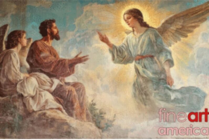 fb-356526171666570_900463332076195