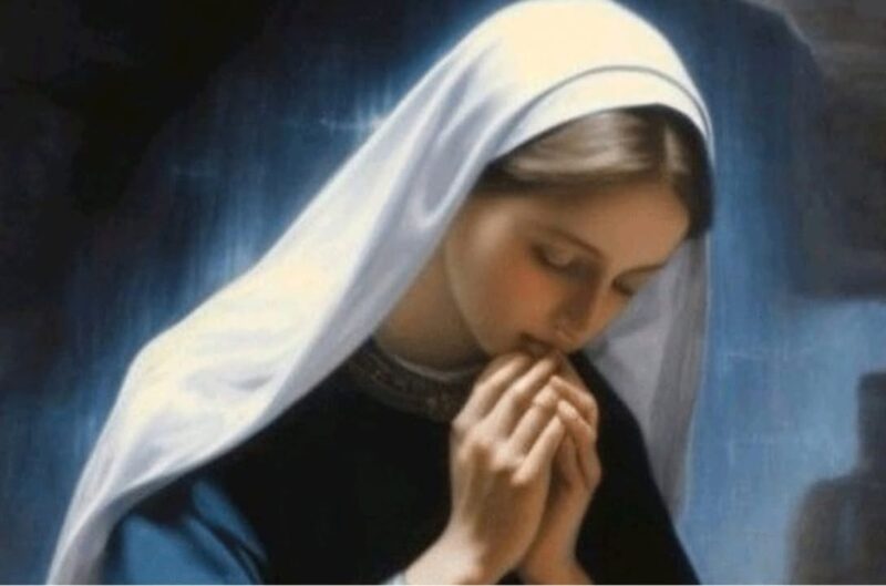 fb-356526171666570_901768485279013