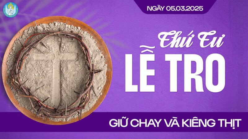 fb-356526171666570_950015547120973