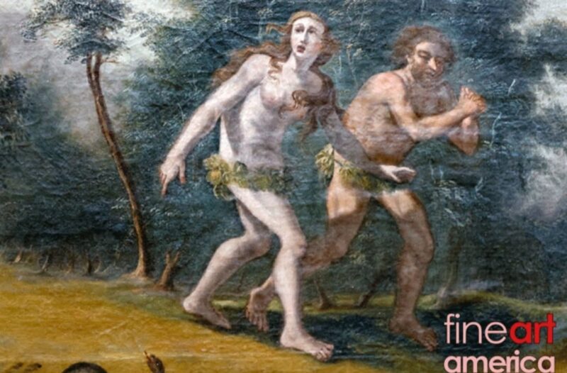 fb-356526171666570_950641200391741