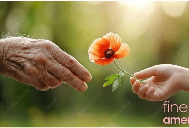 fb-356526171666570_951911710264690