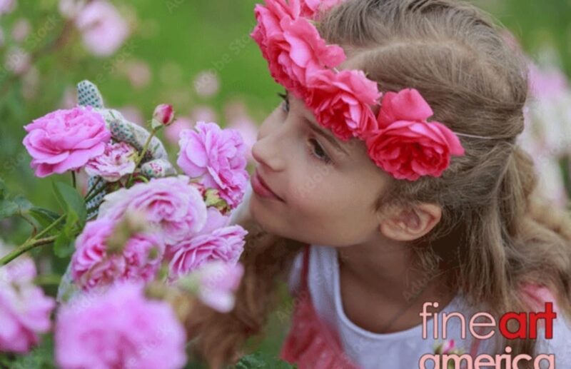 fb-356526171666570_958017922987402