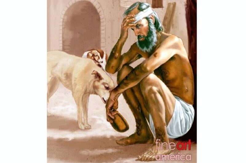 fb-356526171666570_960769606045567