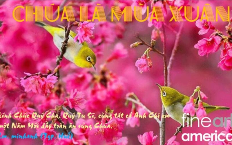 fb-356526171666570_927532509369277