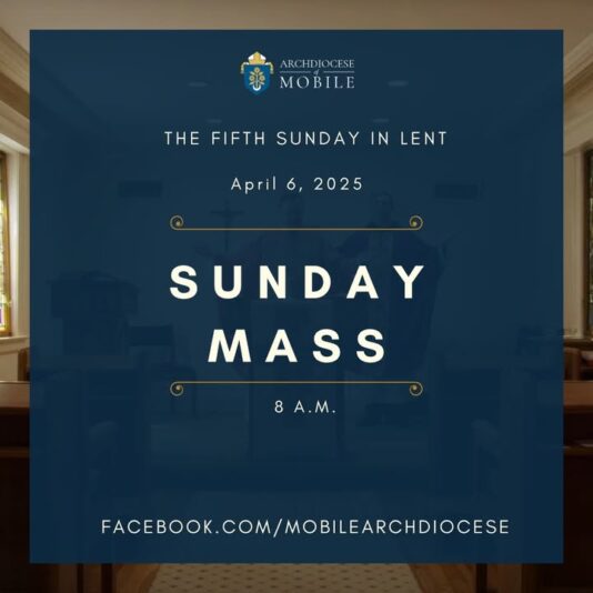 fb-1669188376658004_1265042928955367