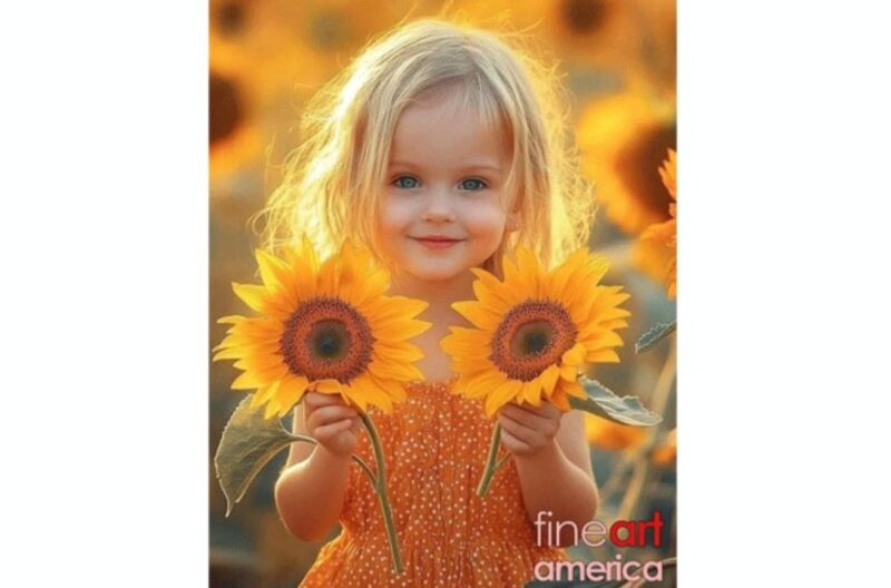 fb-356526171666570_972400628215798