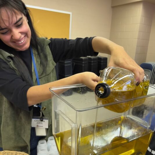 fb-355703527834405_1117948427042628