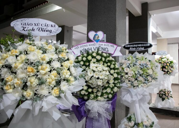 fb-422222558355253_1093141736189625