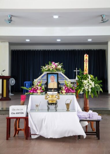 fb-422222558355253_1093136232856842