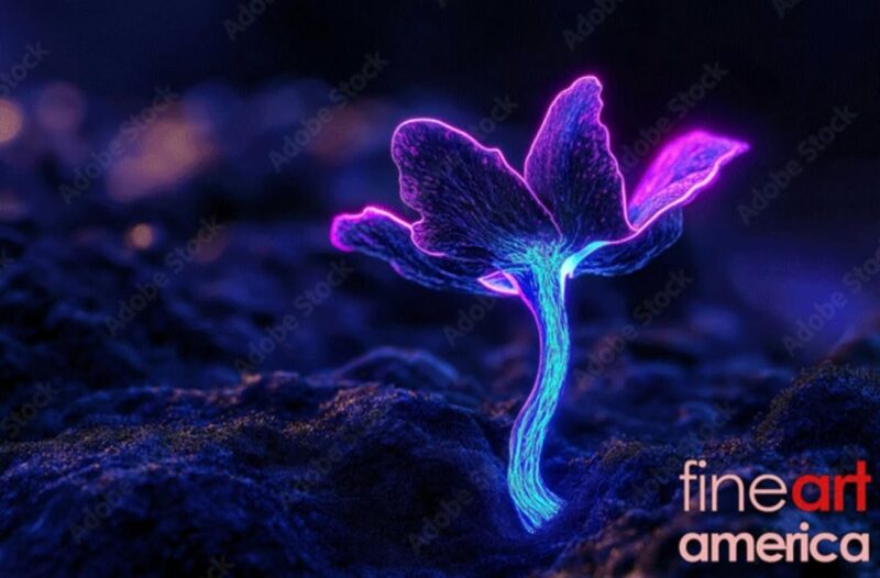 fb-356526171666570_976154411173753