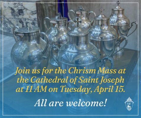 fb-424801330909662_1093646762789000