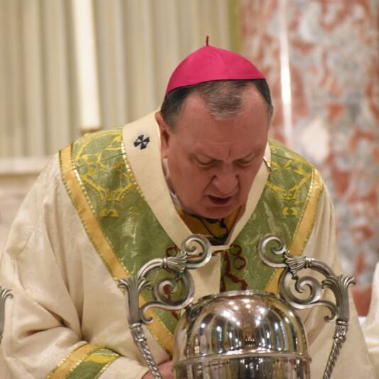 fb-1669188376658004_1270987021694291