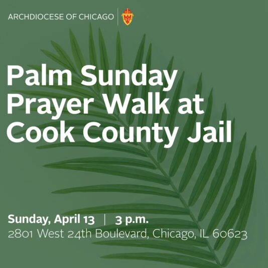 fb-127530903940386_1124166423075308