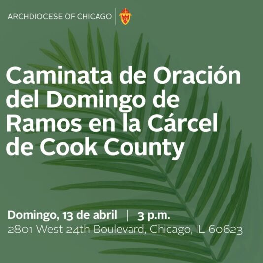 fb-127530903940386_1124166423075308