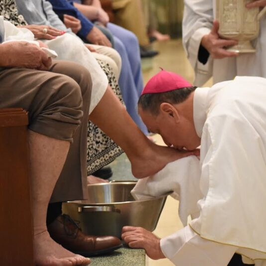 fb-1669188376658004_1272105518249108