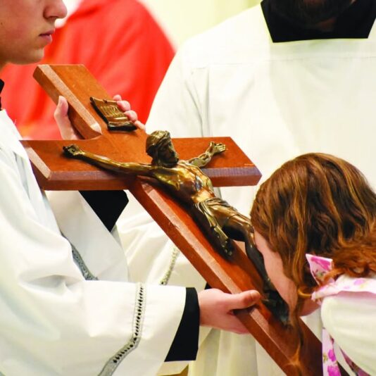 fb-1669188376658004_1272105518249108