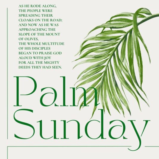 fb-1669188376658004_1273105224815804