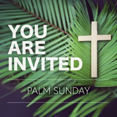 fb-355703527834405_1121929469977857