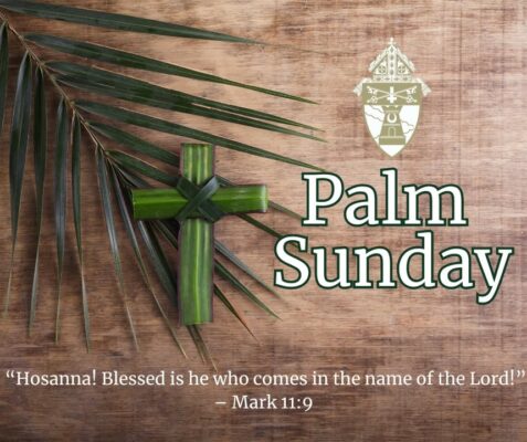 fb-149608895080801_1136680655165653