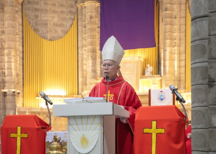 fb-422222558355253_1096194515884347