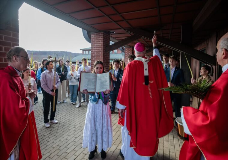 fb-424801330909662_1096361642517512