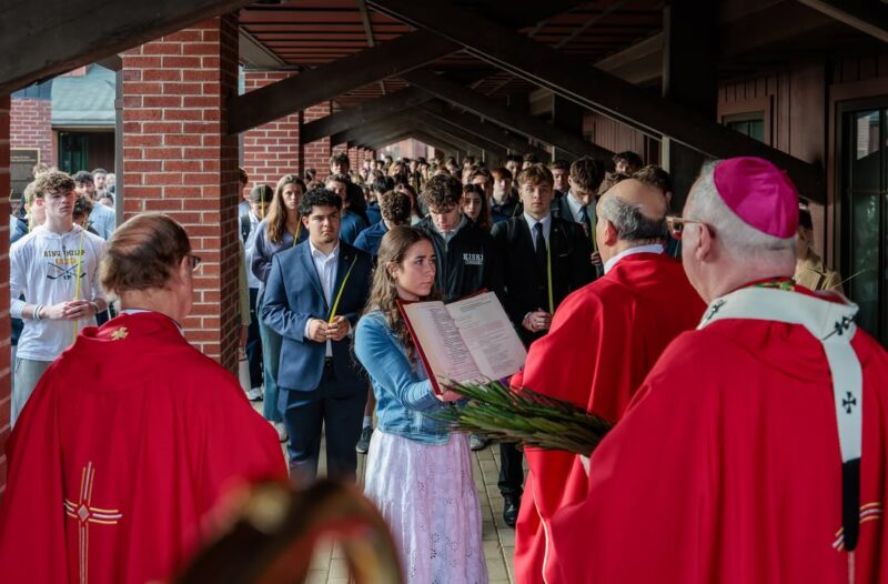 fb-424801330909662_1096361642517512