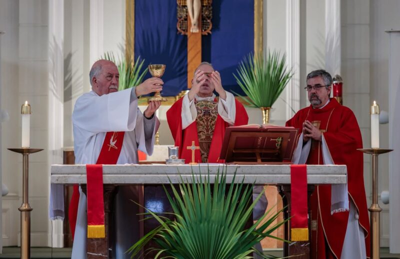 fb-424801330909662_1096143935872616