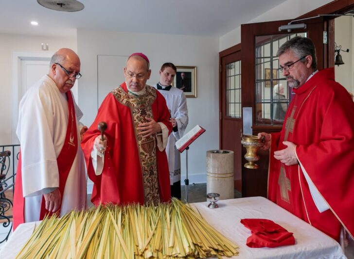 fb-424801330909662_1096143935872616