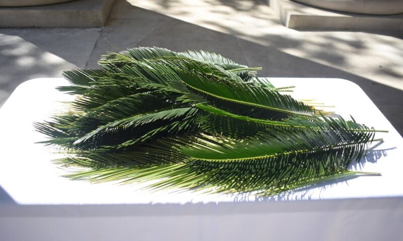 fb-1669188376658004_1273256924800634