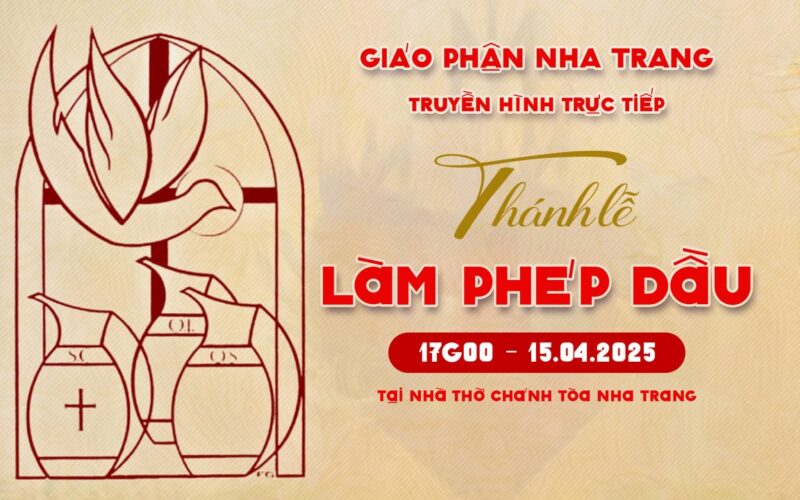 fb-422222558355253_1096454739191658