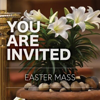 fb-355703527834405_1123845803119557