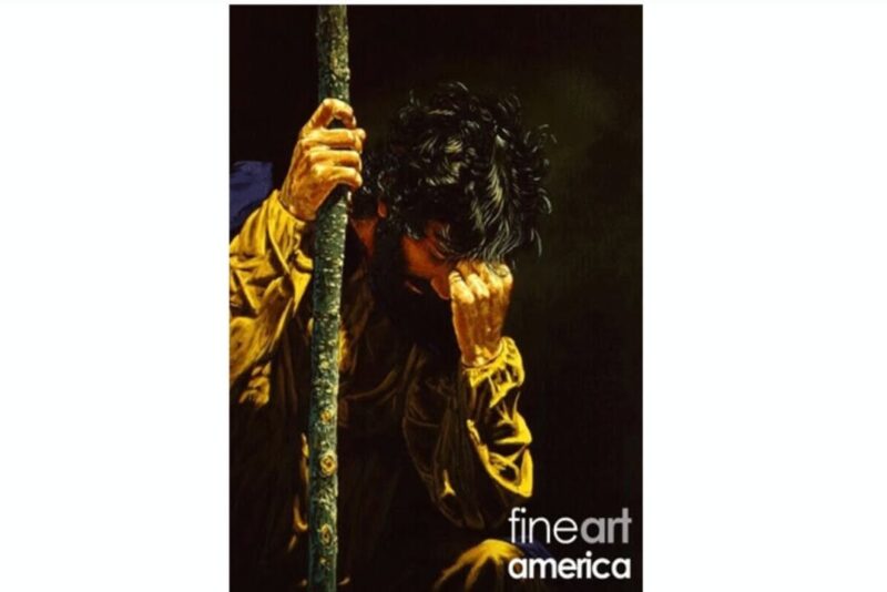 fb-356526171666570_963574072431787