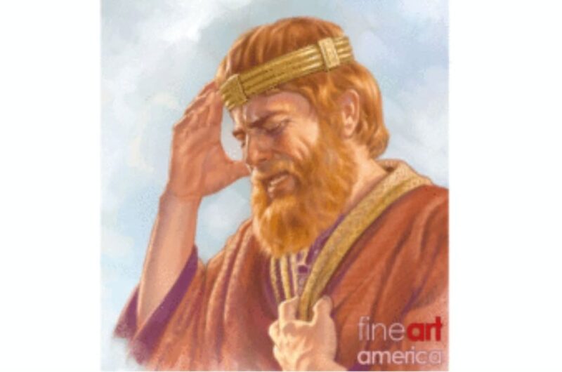 fb-356526171666570_967178005404727