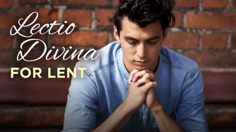 fb-116343758405910_1070705478420359