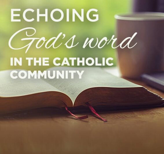 fb-116343758405910_1069185715239002