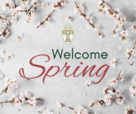 fb-149608895080801_1115257423974643