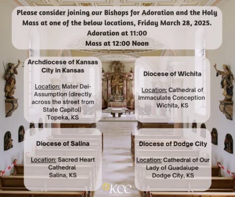 fb-149608895080801_1116510147182704