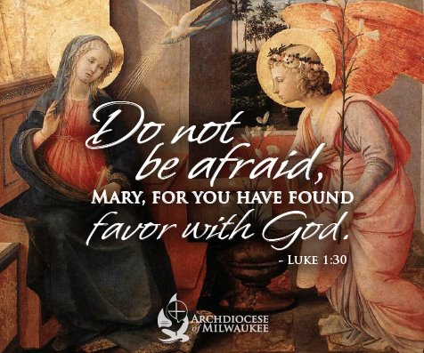 fb-355703527834405_1105906428246828