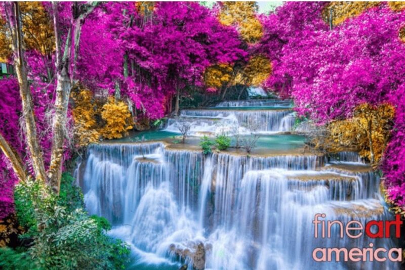 fb-356526171666570_969313088524552