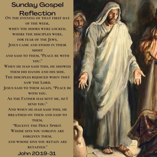 fb-1669188376658004_1287239936735666