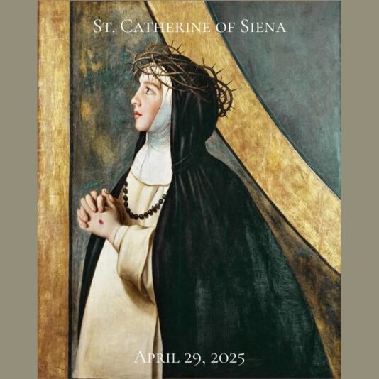 fb-1669188376658004_1289245679868425