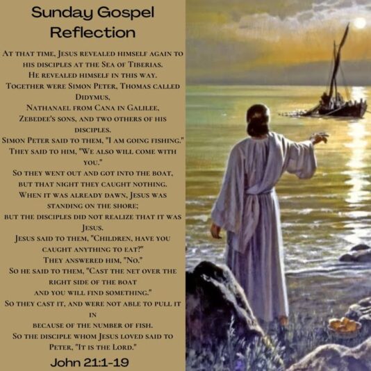 fb-1669188376658004_1294240162702310