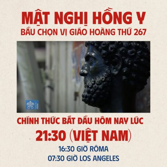 fb-1407235966182611_1003103795300323