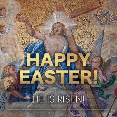 fb-355703527834405_1127669826070488