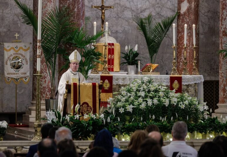 fb-424801330909662_1101931471960529