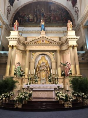 fb-102184176501775_3934032493516929