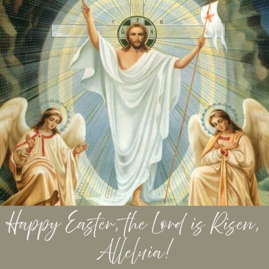 fb-1669188376658004_1279872074139119